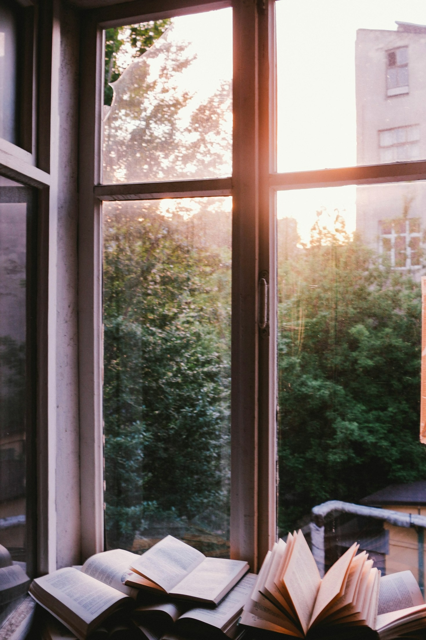 How to Choose the Right Bookish Gifts